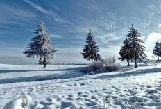 英雄联盟全球总决赛冠亚军决赛四川打响