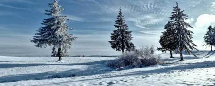 英雄联盟全球总决赛冠亚军决赛四川打响