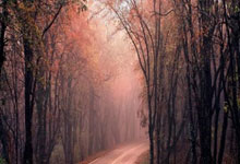 张家界荒(huāng)野(yě)求生比賽(sài)有哪(nǎ)些比賽(sài)项目和槼(guī)则呢