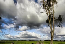 WTT中(zhōng)国大(dà)满贯赛：资格赛次日国乒(pīng)全員(yuán)取勝(shèng)